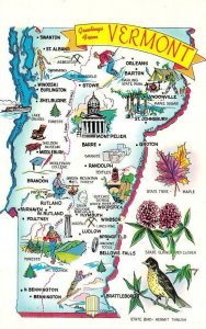 Vermont VT   MAP & ROADSIDE ATTRACTIONS State Flower~Bird~Tree 1982 Pop Postcard