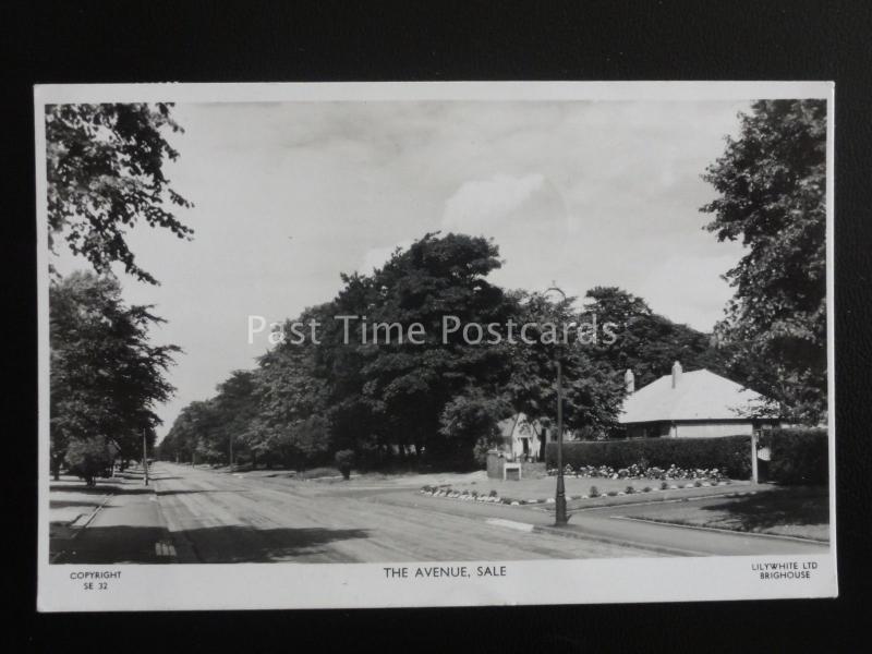 Cheshire SALE The Avenue c1960 RP Postcard by Lilywhite SE32