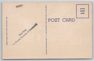 Iowa Des Moines Art Center  Postcard D30