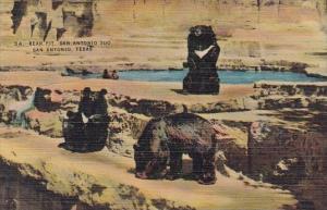 Bear Pit San Antonio Zoo San Antonio Texas