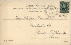 Wichera - Beautiful Woman Purple Dress Holly Branches c1910 Christmas PC