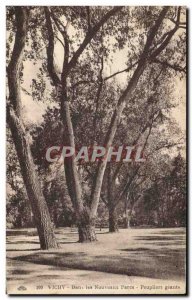 Old Postcard Vichy In New Parks Poplars Giants