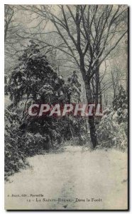 Old Postcard La Sainte Baume In the Forest