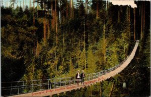 Canada Vancouver Capilano Canyon Suspension Bridge