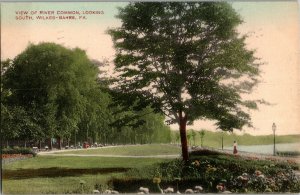 View of River Common Looking South, Wilkes-Barre PA c1910 Vintage Postcard F63