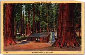 California, Mariposa Grove, Big Trees, Yosemite National Park, Vintage Postcard