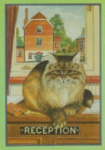 Cats Reception The Country Hotel Receptionist Cat Surrey Postcard