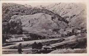 Morere Springs Scenic Reserve North Island New Zealand Real Photo