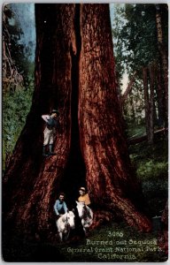 CA-California, Burned Out Sequoia General Grant National Park, Vintage Postcard