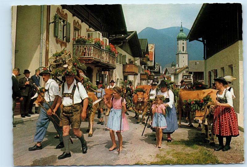 *Germany Almabtrieb Street View Cows Vintage 4x6 Postcard C70