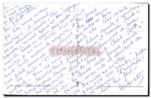 Modern Postcard Cat Kitten