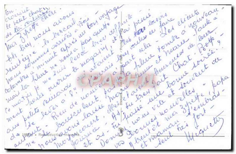 Modern Postcard Cat Kitten