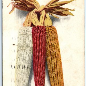 c1900s Iowa State Fair Champion Ears of Corn Postcard Competition White IA A84