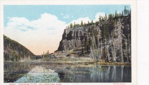 Obsidian Cliff Yellowstone National Park