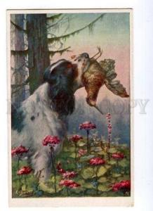 132422 HUNT Spaniel WOODCOCK by BURTAS vintage color PC