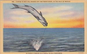 Fishing Tarpon In Mid Air Hooked Off The Texas Coast In The Gulf Of Mexico Cu...