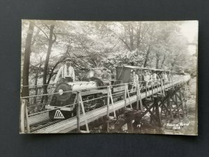 Mint House of David Park Benton Harbor Michigan Railroad Real Photo Postcard