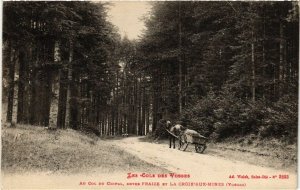 CPA Les Cols des Vosges Au Col du Cripal Entre FRAIZE et la Croix. (455779)