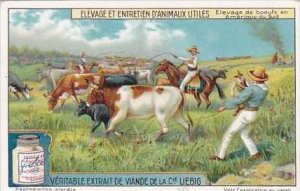 Liebig Trade Card S1176 Breeding Of Useful Animals No 2 Cattle in South America