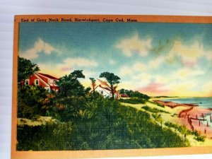 Vintage Postcard 1930s End of Grey Neck Rd Harwichport Cape Cod MA Massachusetts