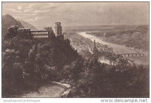 Germany Heidelberg vom Wolfsbrunnenweg gesehen bei Mondschein