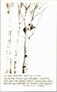 RPPC Bear Up a Tree Poem, Nipawin Saskatchewan Vintage Postcard D29