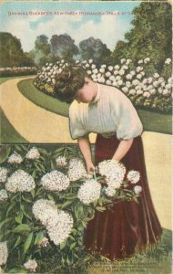 Rockford Illinois 1911 Buckbee's Horticulture Advertising Postcard 21-6513