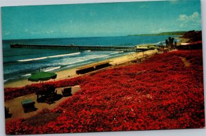 Postcard CA San Clemente - Beach and Ocean fishing pier by Geranium bed