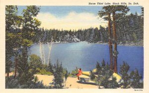 Horse thief Lake Black Hills SD Postcard