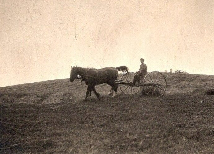 RPPC  Farmer Threshing Field With Horse Team  Real Photo  Postcard  c1910