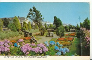 Essex Postcard - Clacton-On-Sea - The Sunken Gardens - TZ11474