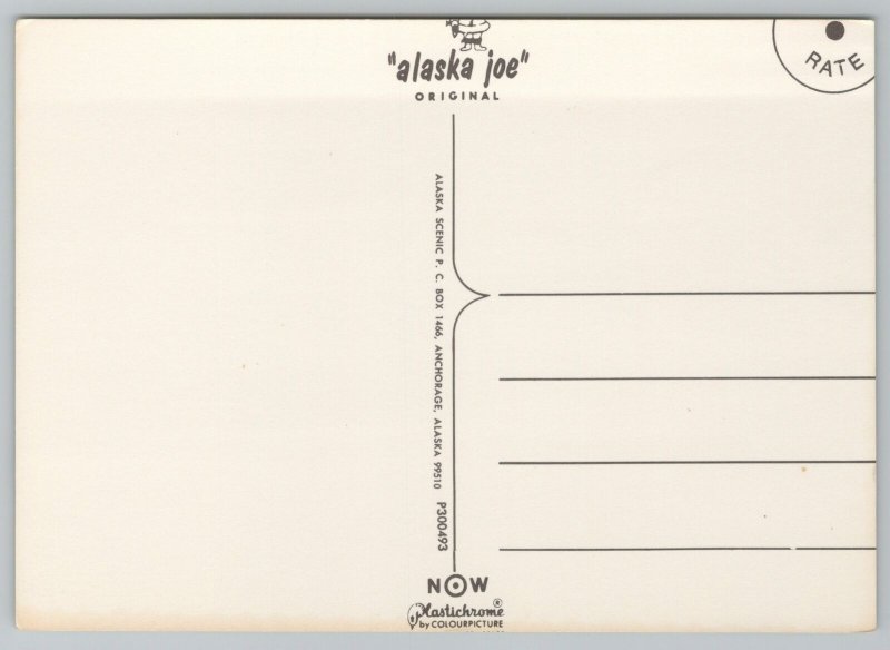 Animal~Alaskan Bull Moose~Continental Postcard