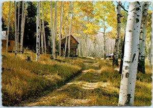 Postcard - Aspen Country of Northern Arizona