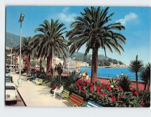 Postcard Palm-trees on the seaside promenade, Rapallo, Italy