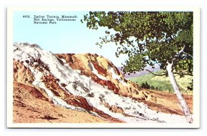 Jupiter Terrace Mammoth Hot Springs Yellowstone National Park Wyoming Postcard