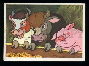 180010 Cows Lalayants & Arkadiev postcard PIG