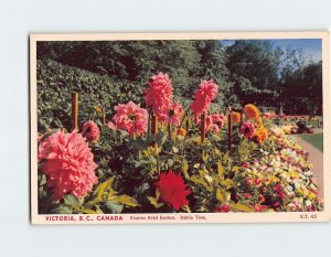 Postcard Dahlia Time, Empress Hotel Garden, Victoria, Canada