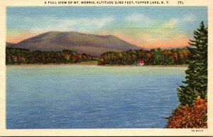 New York Tupper Full View Of Mt Morris Curteich