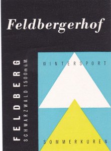 Germany Feldberg Hotel Feldbergerhof Vintage Luggage Label sk3748