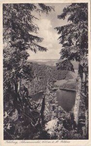 Germany Feldberg Schwarzwald und Feldsee 1936