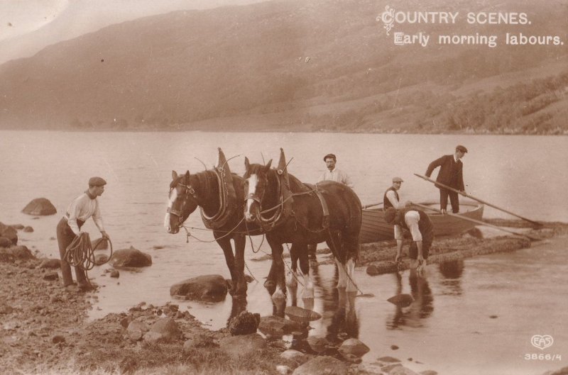 Early Morning Labours Horse Helping Launch Boat Real Photo Postcard