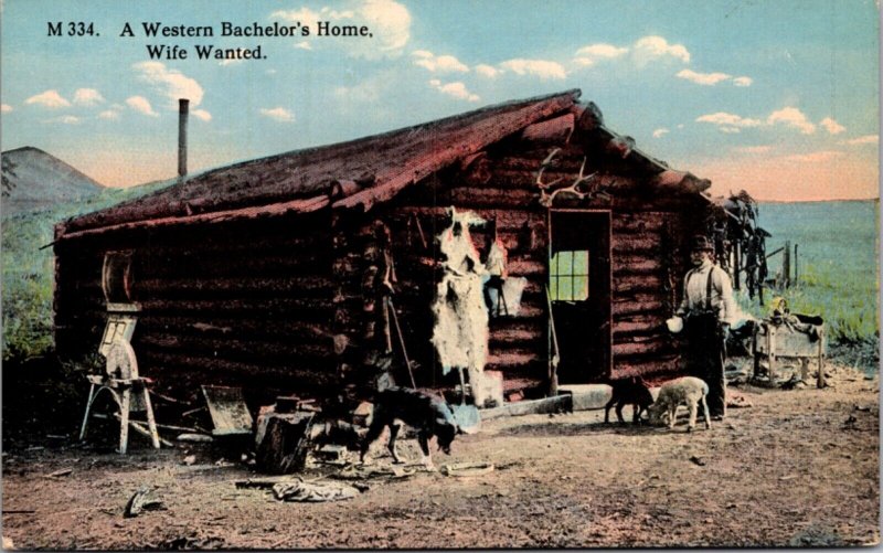 Postcard A Western Bachelor's Home, Wife Wanted