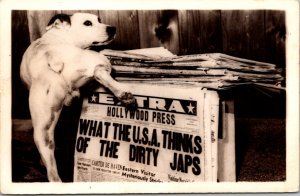RPPC WWI Propaganda, Dog Pees on Newspaper Article About Japanese Postcard Y53