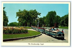 c1960s Brackenridge Eagle World's Largest Miniature R.R. San Antonio TE Postcard