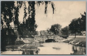 ENGLEWOOD NJ COLONEL MOORE PARK ANTIQUE POSTCARD