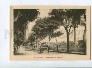 3120271 Egypt ALEXANDRIA Promenade de Ramleh Vintage PC