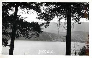 RPPC View Across the Lake, Yahk British Columbia BC