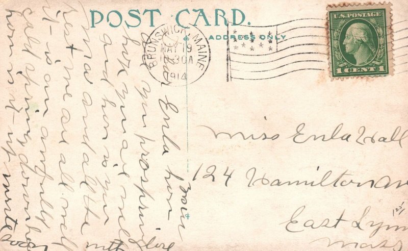 Vintage Postcard 1914 New Meadows Inn River Maine