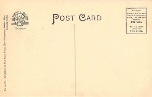 Logging Train Forests of Washington 1910c postcard 