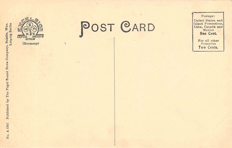 Logging Train Forests of Washington 1910c postcard 